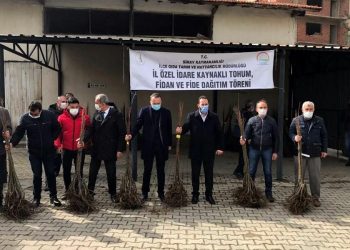 Simav’da kestane bahçeleri kuruluyor